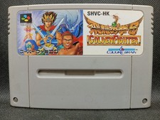 Hiryuu No Ken S Golden Fighter - Super Famicom Nintendo SFC JP - SHVC-HK (l#03)