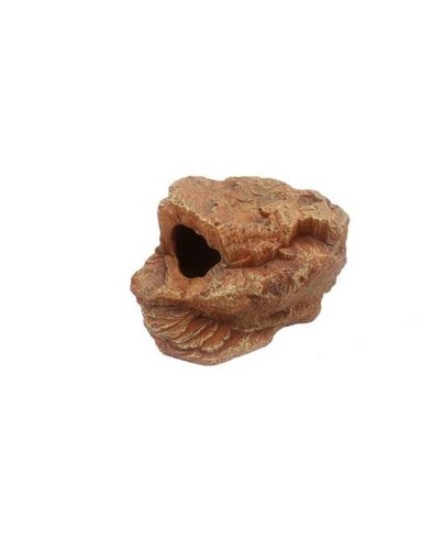 Gecko nesting cave reptiles - nesting,