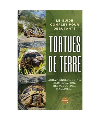 Tortues terre focus - tortues,