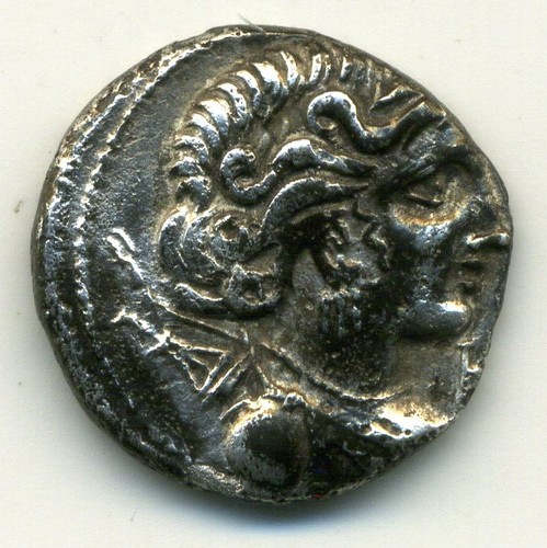 Rare massalia - (4063), -massalia