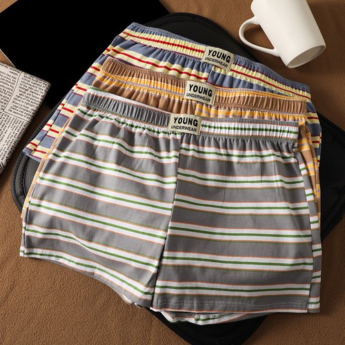 Boxer coton caleçon - , classique