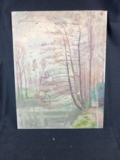 Paysage Berge Rivière Arbres