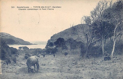 Guadeloupe historique terre - guadeloupe,