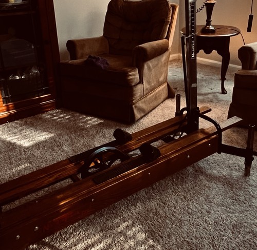 Nordictrack vintage pro skier - vintage,