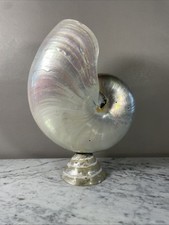 Nautile sur socle en