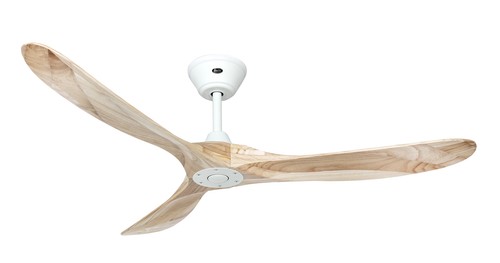 Ventilateur plafond