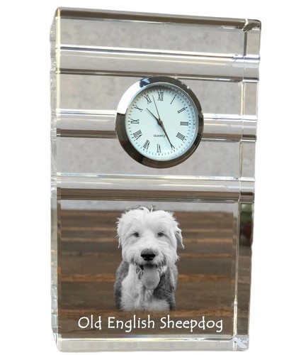 Chien berger anglais - de,