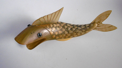 Poisson corne bovin - poisson,