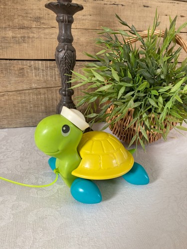 126 ancienne tortue - 126, ⚜️