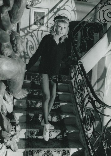 Dany saval une souris chez - une, les