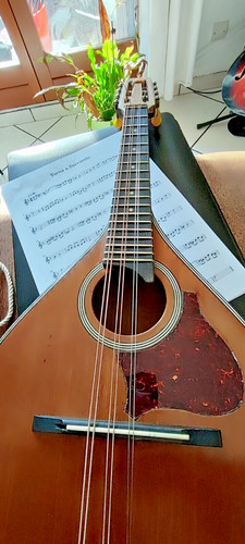 Mandoline électroacoustique