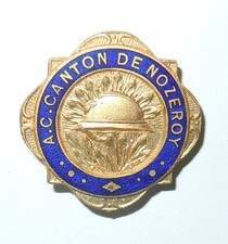 INSIGNE DE BOUTONNIERE ANCIENS COMBATTANTS 14/18 DU CANTON DE NOZEROY ( JURA )