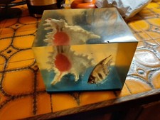 BELLE ET ANCIENNE INCLUSION EN