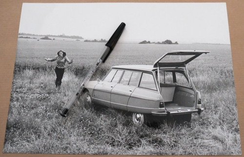 Large citroen ami - ami, photo