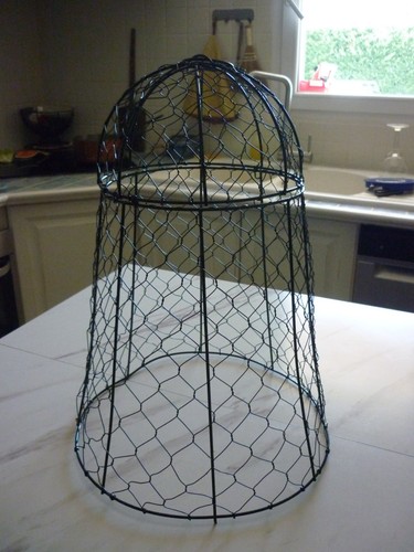 Cloche salade - a,