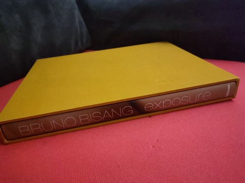 Exposure bruno bisang - bisang, muriel