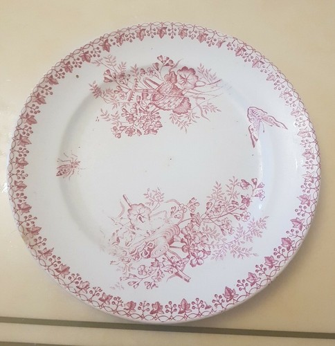 Plat grand assiette - grand,
