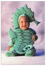 Carte postale Tom Arma BÉBÉ format cpm (Hippocampes)