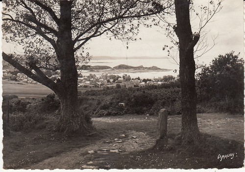 Carte postale postcard 10x15cm
