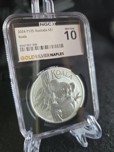 2024 p125 australia koala - 2024,
