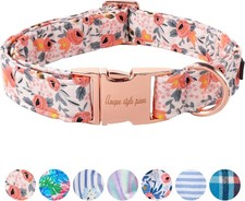Collier Rose pour Chien - Colliers et laisses pour Collier pour Chien - Large...