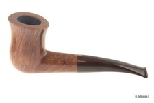 Amorelli * * - Quarter Bent