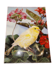 CARTE POSTALE A SYSTEME SONORE POUET POUET  oiseau dans fleurs   n11