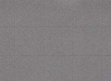 (X) Faller 170808 - Plaque