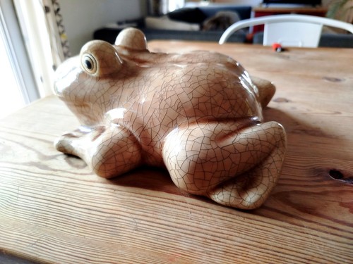 Crapaud grenouille - grenouille, en