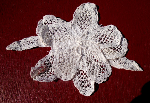 Fleur dentelle fine - fleur,