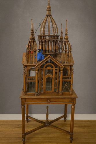 Grande volière cage oiseaux - a,
