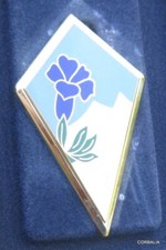 INSIGNE MILITAIRE ARTHUS BERTRAND EDITIONS ATLAS  /  27 ème DA