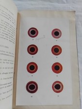 PIGEON VOYAGEUR LES YEUX