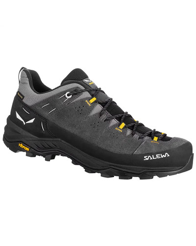 Salewa alp trainer gtx - alp, 2