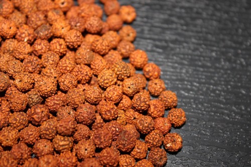 Perles rudraksha loose mm - 6,