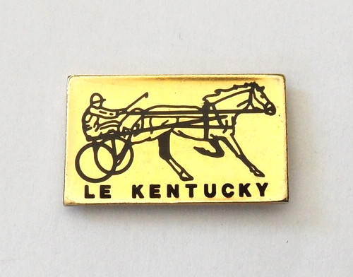 Pin kentucky état - pin's,