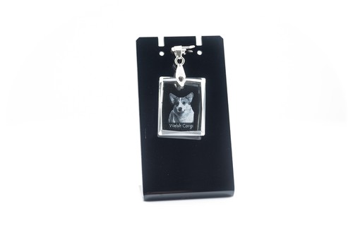 Pembroke welsh corgi collier - corgi,