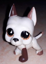 Petshop chien Danois Dogue