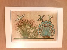RARE CARTE POSTALE EGYPTE