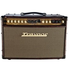 TRAYNOR AM STANDARD Acoustic