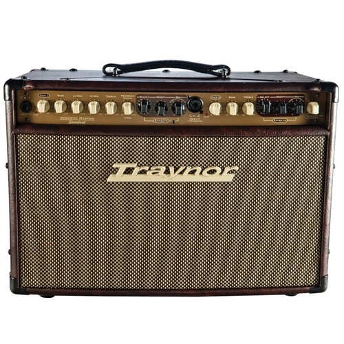 Traynor standard acoustic - standard,