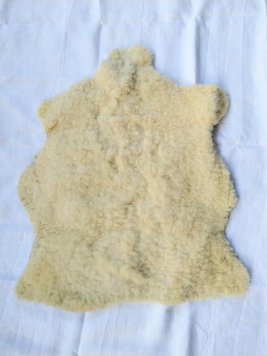 Peau mouton véritable - de,