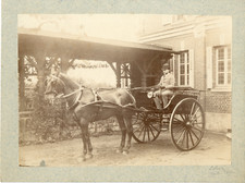 Voiture cheval 1891 - cheval,,
