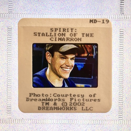 Spirit étalon des - spirit, l'Étalon