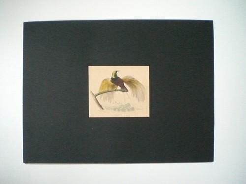Gravure ancienne originale