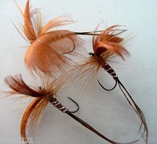 3 x mouches de mai brown drake H10 barbless  truite ombre 