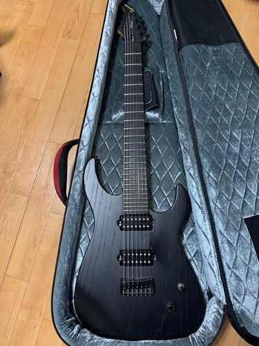 Electric guitar caparison - guitar,