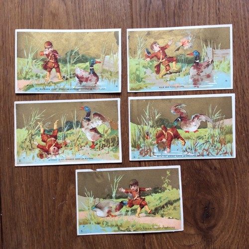 Chromos chasse aux - chromos,