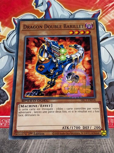 Carte dragon double - yu,