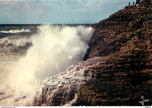 Carte postale le cap - 22,